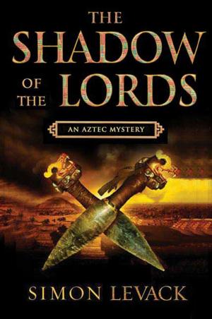 Cover of the book Shadow of the Lords by Stefanie Pintoff
