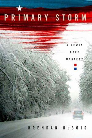 Cover of the book Primary Storm by Harrison Forbes, Beth Adelman