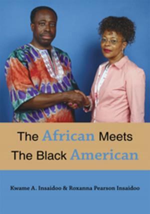 Book cover of The African Meets the Black American