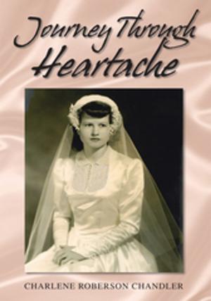 Cover of the book Journey Through Heartache by Jeneen Nicole Buchanan
