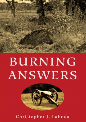 Cover of the book Burning Answers by C. Robert Holloway
