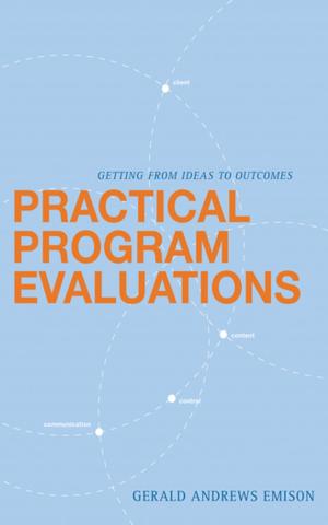 Cover of the book Practical Program Evaluations by Dr. Jerome Kirk, Marc L. Miller