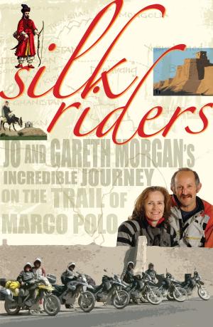 Book cover of Silk Riders