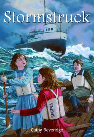 Cover of the book Stormstruck by Norma Charles