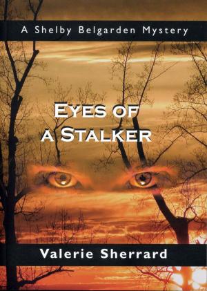 Book cover of Eyes of a Stalker