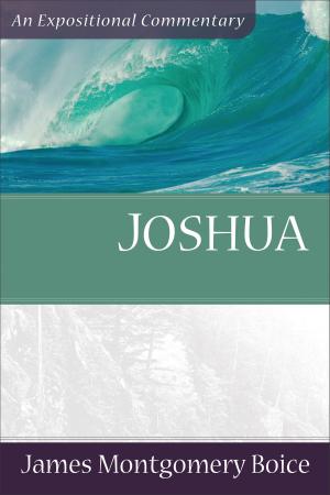 Cover of the book Joshua by Devin Brown