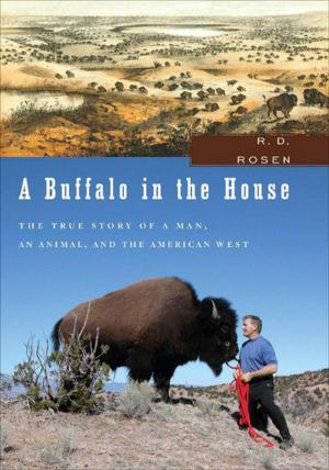Cover of the book A Buffalo in the House by Henning Mankell
