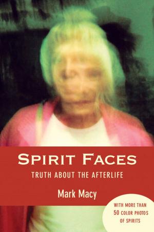 Cover of the book Spirit Faces by Rebecca Ross