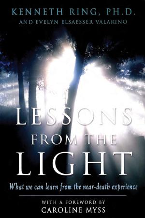 bigCover of the book Lessons from the Light by 