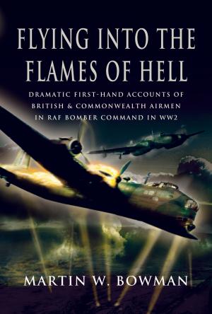 Cover of the book Flying into the Flames of Hell by Anthony Adolph