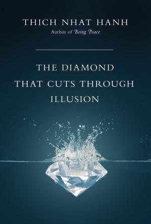 bigCover of the book Diamond That Cuts Through Illusion, The by 
