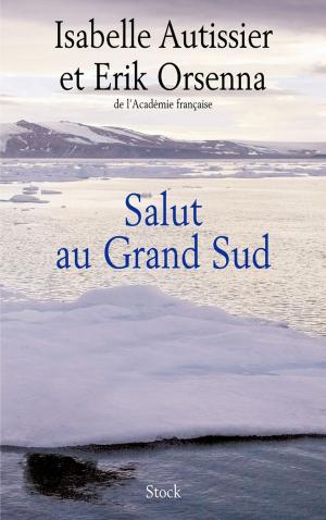 Book cover of Salut au Grand Sud