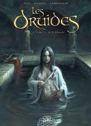 Cover of the book Les Druides T02 by Nicolas Jarry, Paolo Daplano, Benoit Dellac