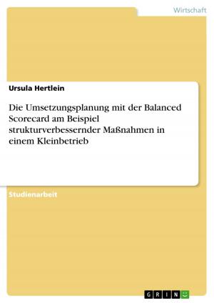 Cover of the book Die Umsetzungsplanung mit der Balanced Scorecard am Beispiel strukturverbessernder Maßnahmen in einem Kleinbetrieb by Christine Schaffrath