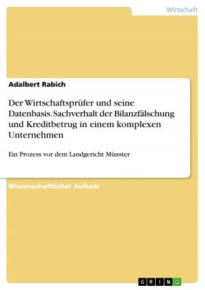 Cover of the book Der Wirtschaftsprüfer und seine Datenbasis. Sachverhalt der Bilanzfälschung und Kreditbetrug in einem komplexen Unternehmen by Iris Hecker