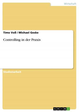 Cover of the book Controlling in der Praxis by Ramona Frommknecht