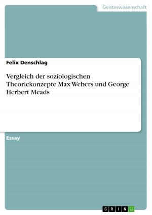 Cover of the book Vergleich der soziologischen Theoriekonzepte Max Webers und George Herbert Meads by Andreas Kleinke