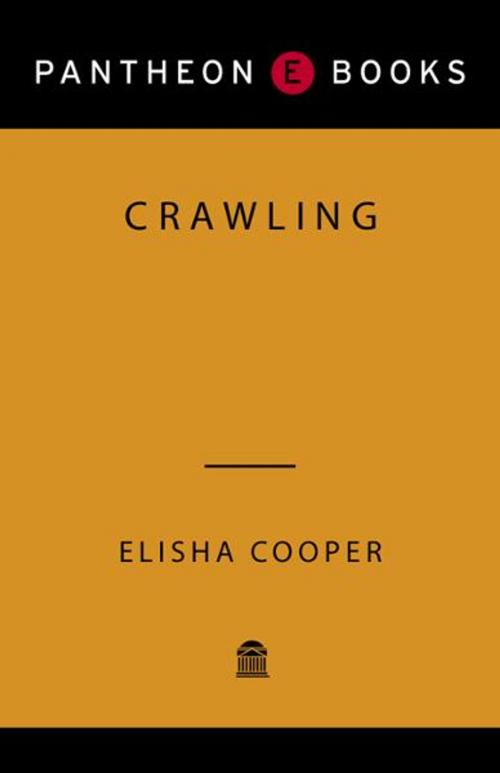 Cover of the book Crawling by Elisha Cooper, Knopf Doubleday Publishing Group
