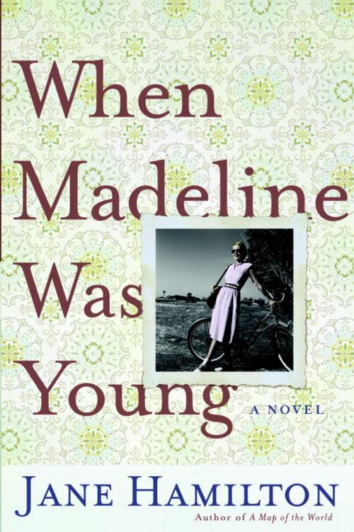 Cover of the book When Madeline Was Young by Jane Hamilton, Knopf Doubleday Publishing Group