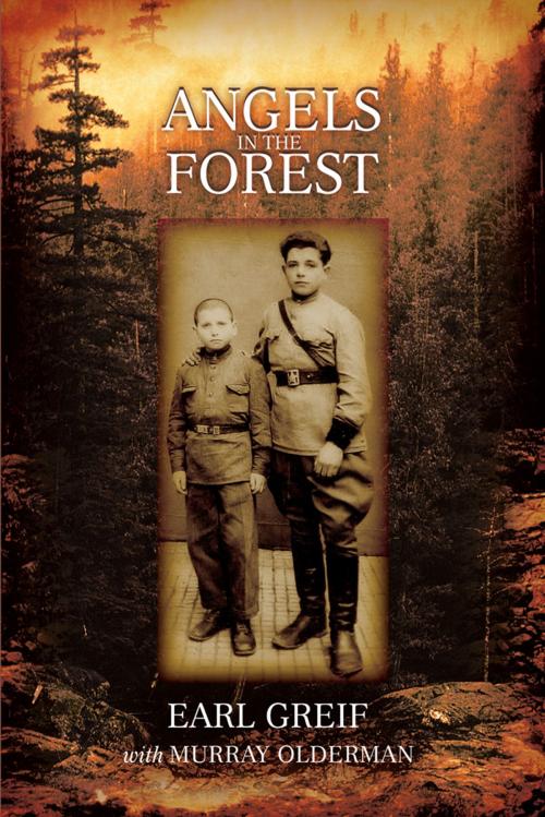 Cover of the book Angels in the Forest by Earl Greif, iUniverse