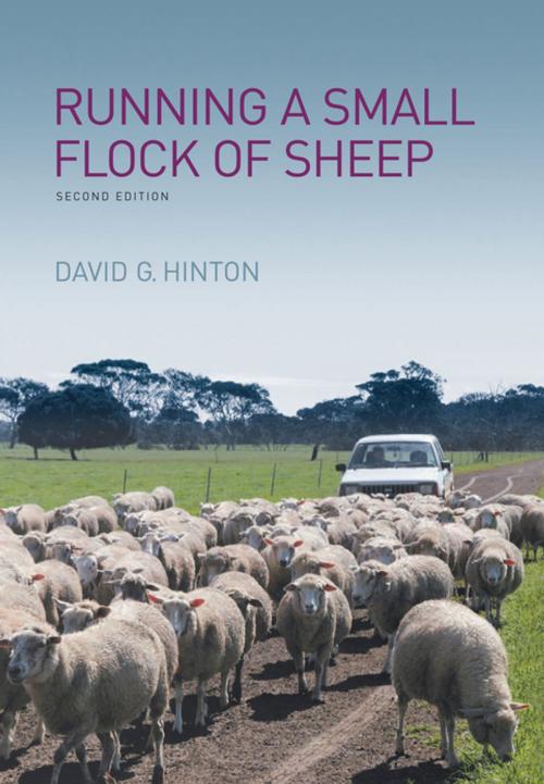 Cover of the book Running a Small Flock of Sheep by David G Hinton, Landlinks Press