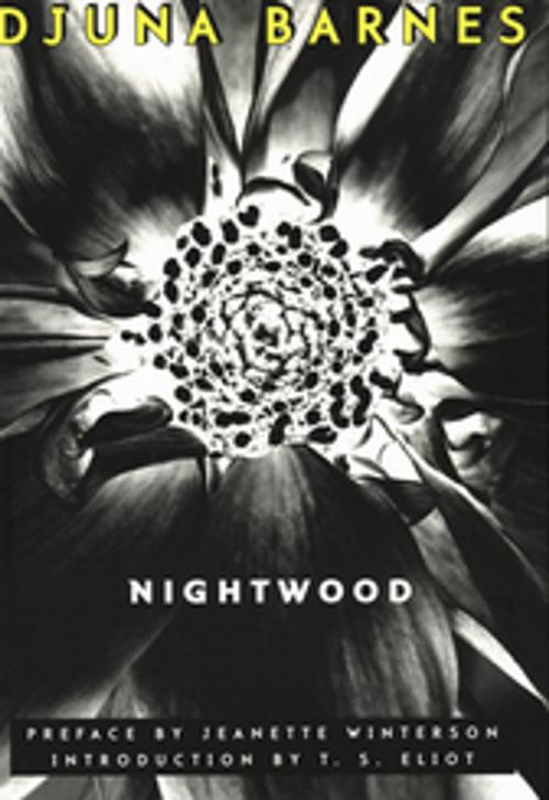 Cover of the book Nightwood (New Edition) by Djuna Barnes, Jeanette Winterson, New Directions