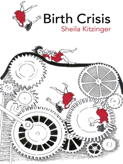 Cover of the book Birth Crisis by Sheila Kitzinger, Taylor and Francis