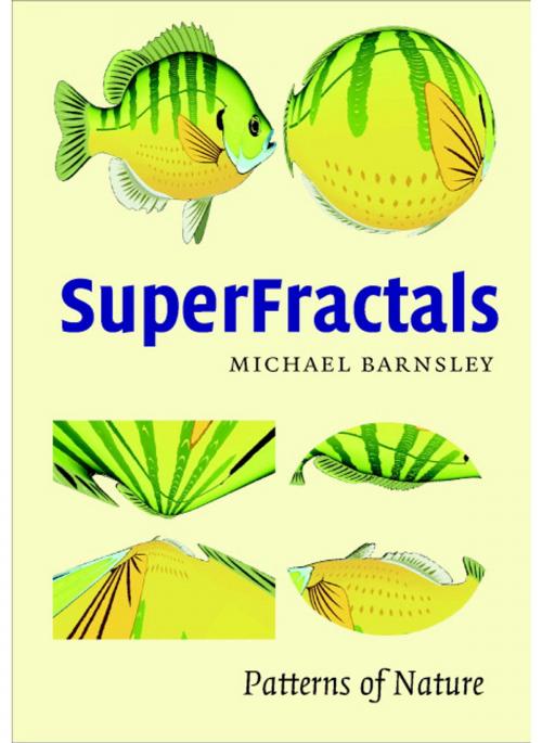 Cover of the book SuperFractals by Michael Fielding Barnsley, Cambridge University Press
