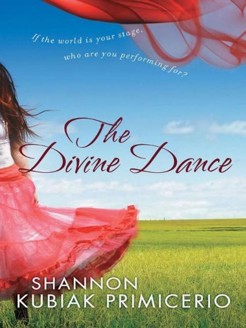 Cover of the book The Divine Dance by Shannon Kubiak Primicerio, Baker Publishing Group