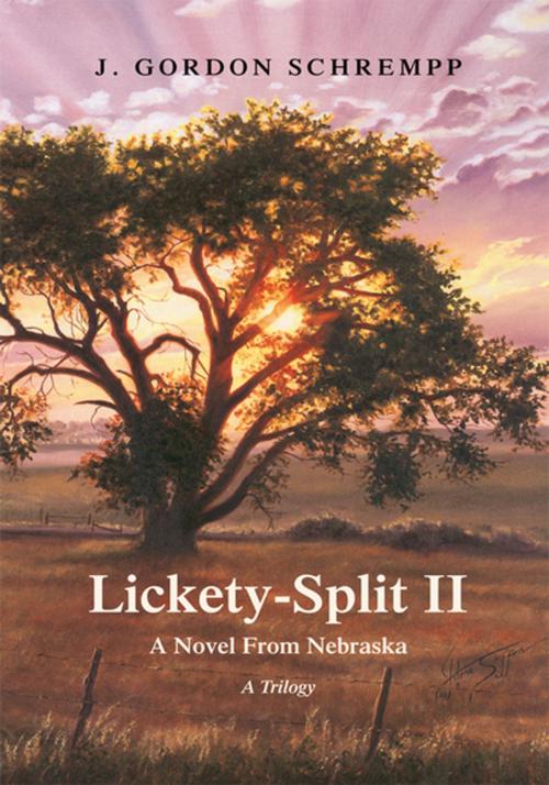 Cover of the book Lickety-Split Ii by J. Gordon Schrempp, Xlibris US