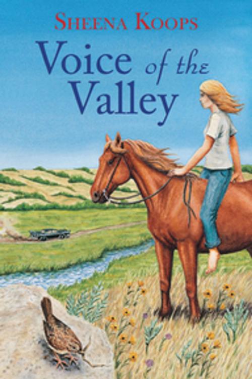 Cover of the book Voice of the Valley by Sheena Koops, Orca Book Publishers