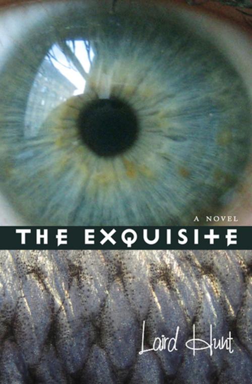 Cover of the book The Exquisite by Laird Hunt, Coffee House Press