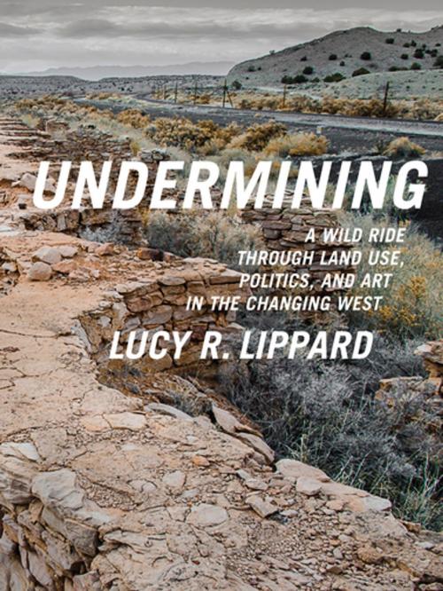 Cover of the book Undermining by Lucy R. Lippard, The New Press