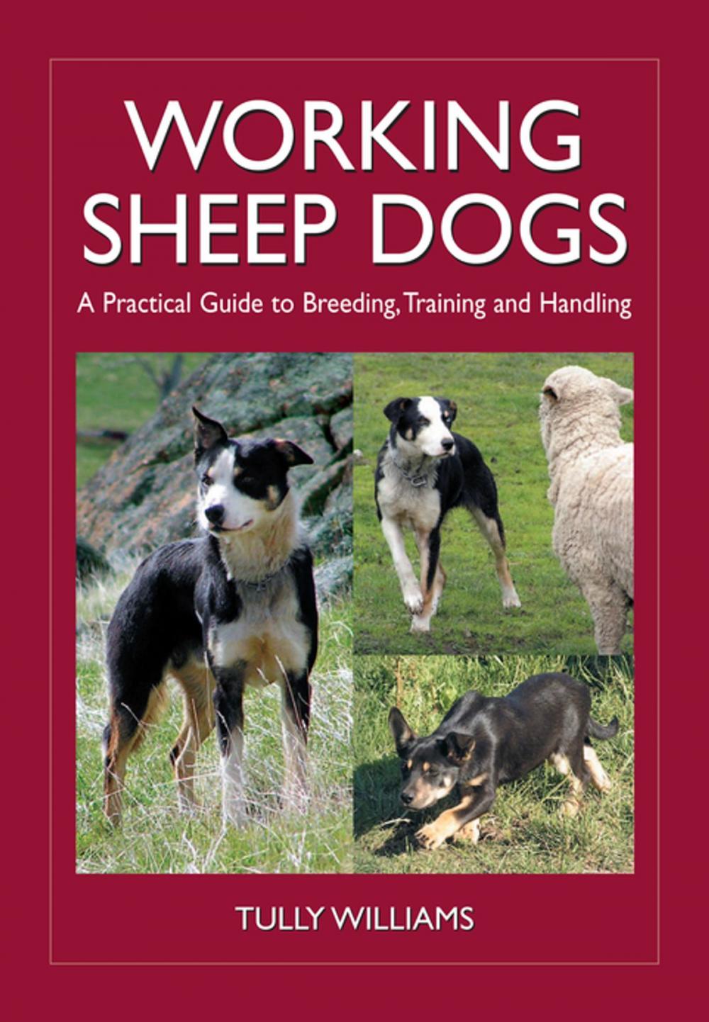 Big bigCover of Working Sheep Dogs
