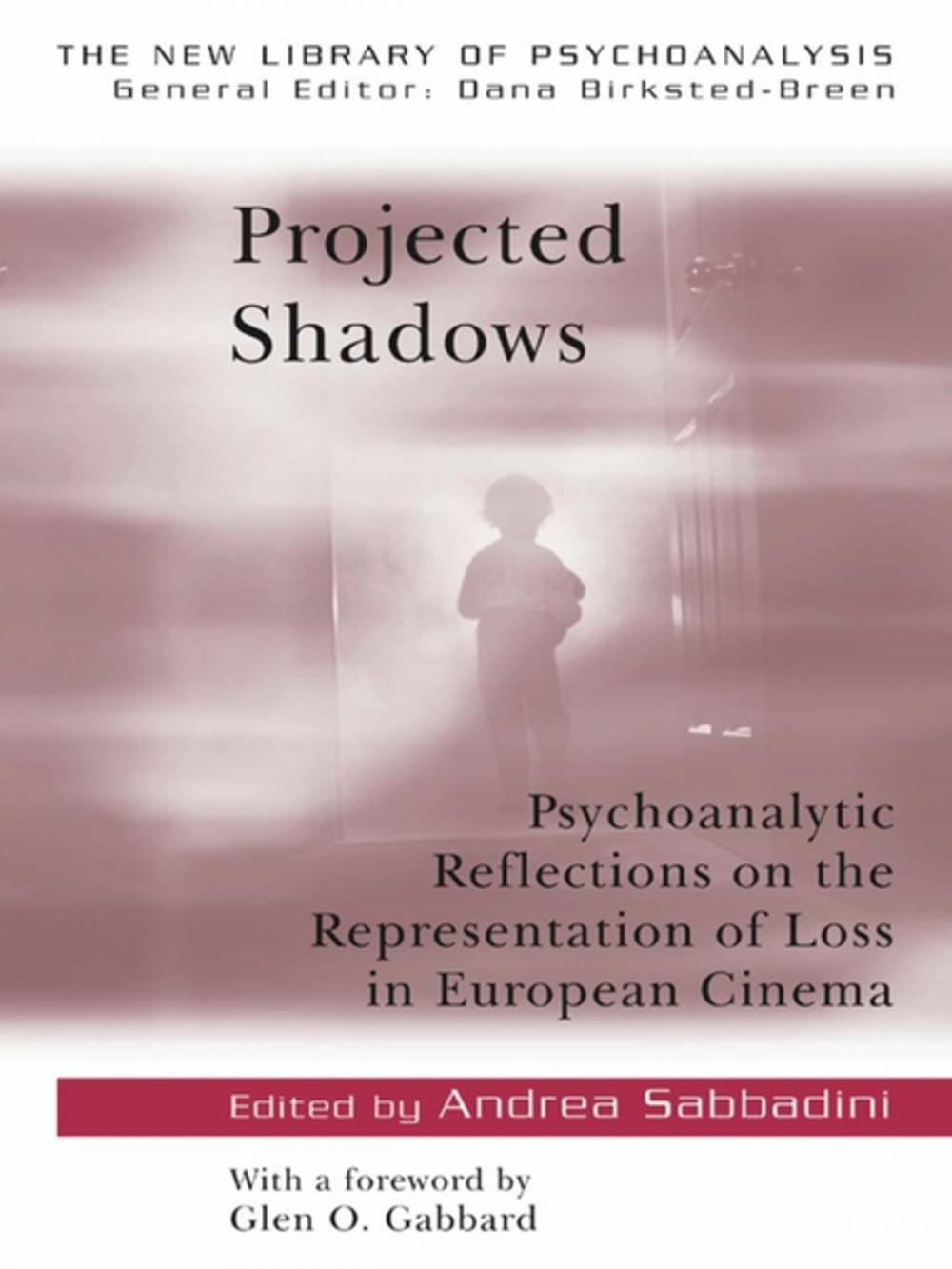 Big bigCover of Projected Shadows