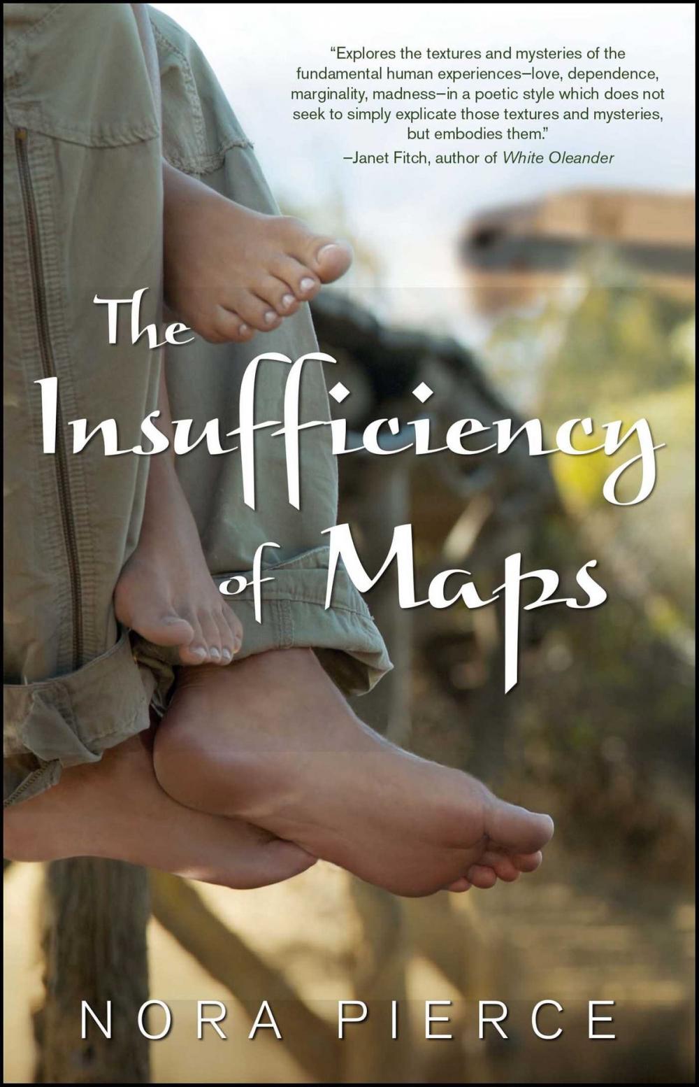 Big bigCover of The Insufficiency of Maps