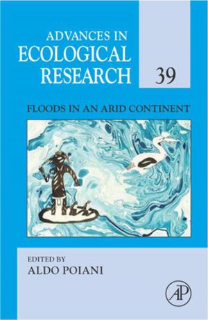Cover of the book Floods in an Arid Continent by William H. Wunner, Alan C. Jackson