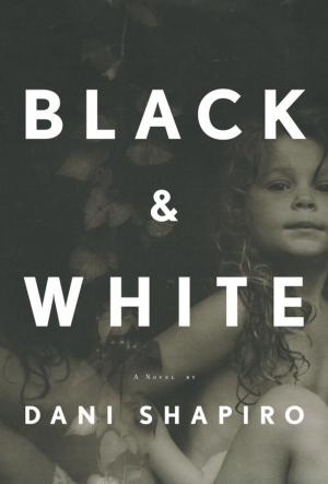 Cover of the book Black & White by Meir Shalev