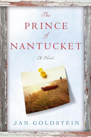 Cover of the book The Prince of Nantucket by Cate Lawley