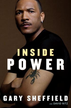 Book cover of Inside Power