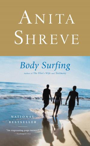 Cover of the book Body Surfing by claudia chiurchiu'