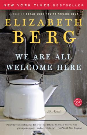 Cover of the book We Are All Welcome Here by Terry Brooks