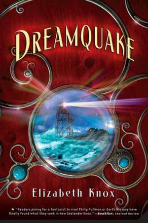 Cover of the book Dreamquake by Rachel Cusk