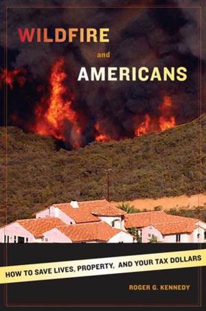 Cover of the book Wildfire and Americans by John Ashbery