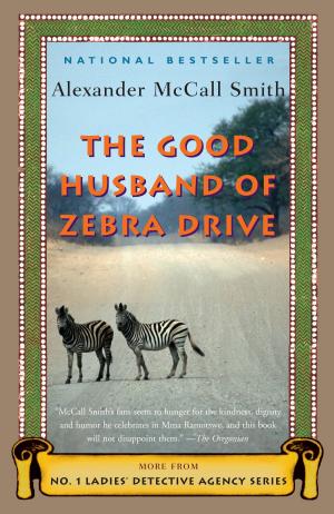 Cover of the book The Good Husband of Zebra Drive by Gideon Defoe