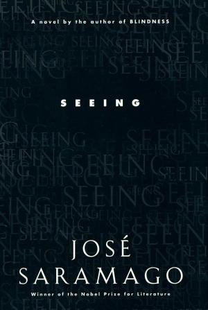 bigCover of the book Seeing by 
