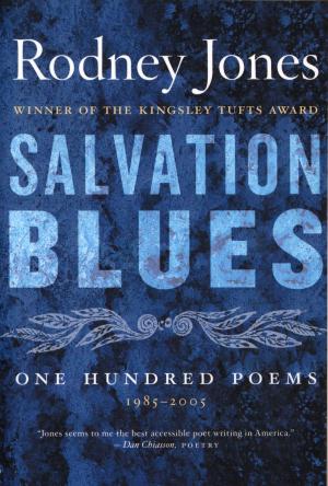 Cover of the book Salvation Blues by Andria Warmflash Rosenbaum