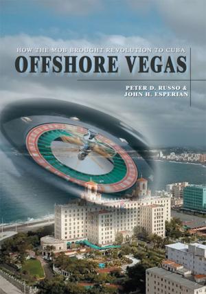 bigCover of the book Offshore Vegas by 
