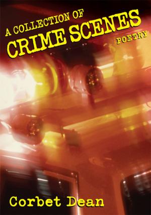 bigCover of the book A Collection of Crime Scenes by 