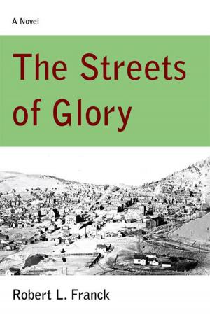 bigCover of the book The Streets of Glory by 